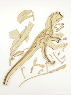 Stuka Puka Dinosaur Skeleton Puzzle