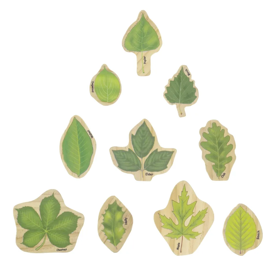 The Freckled Frog Stacking Leaves