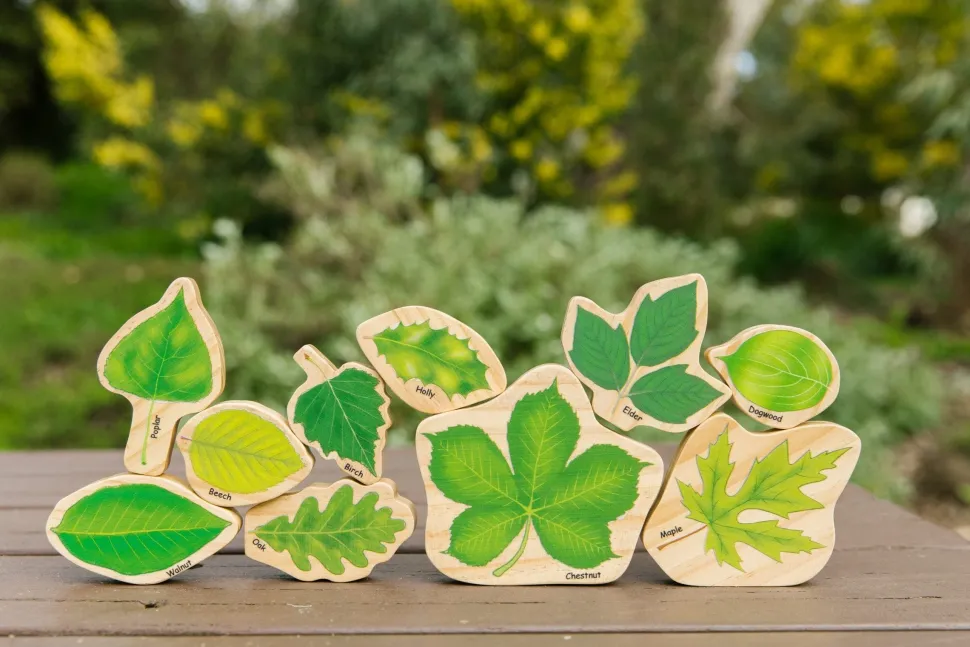 The Freckled Frog Stacking Leaves