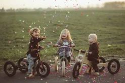 Trybike 2 in 1 Steel Balance Bike - Black