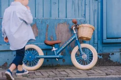 Trybike Basket for Trybike Steel
