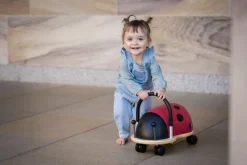 Wheely Bug Ladybug Small