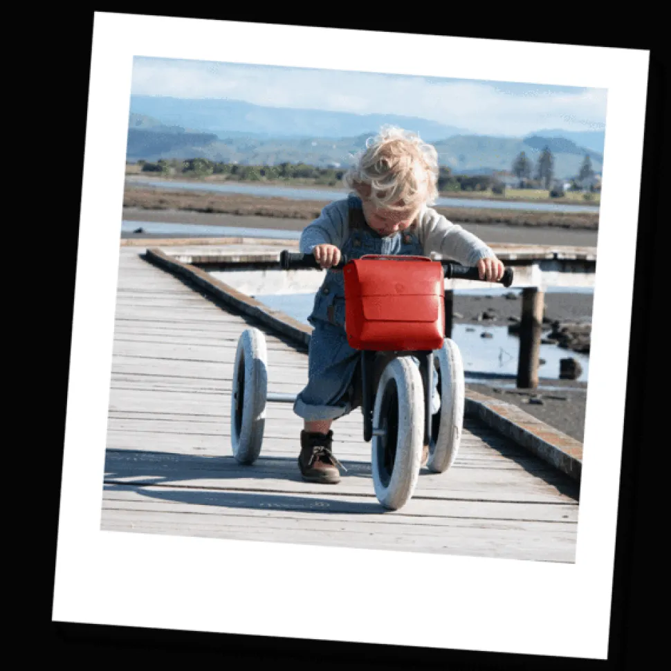 Wishbone Bike Bag