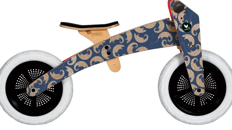 Wishbone Bike Pangolin 3-in-1