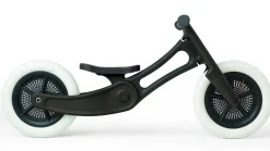 Wishbone Bike RE2 3-in-1