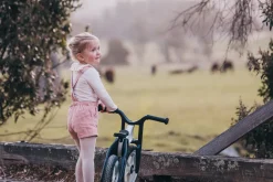 Wishbone Bike RE2 3-in-1