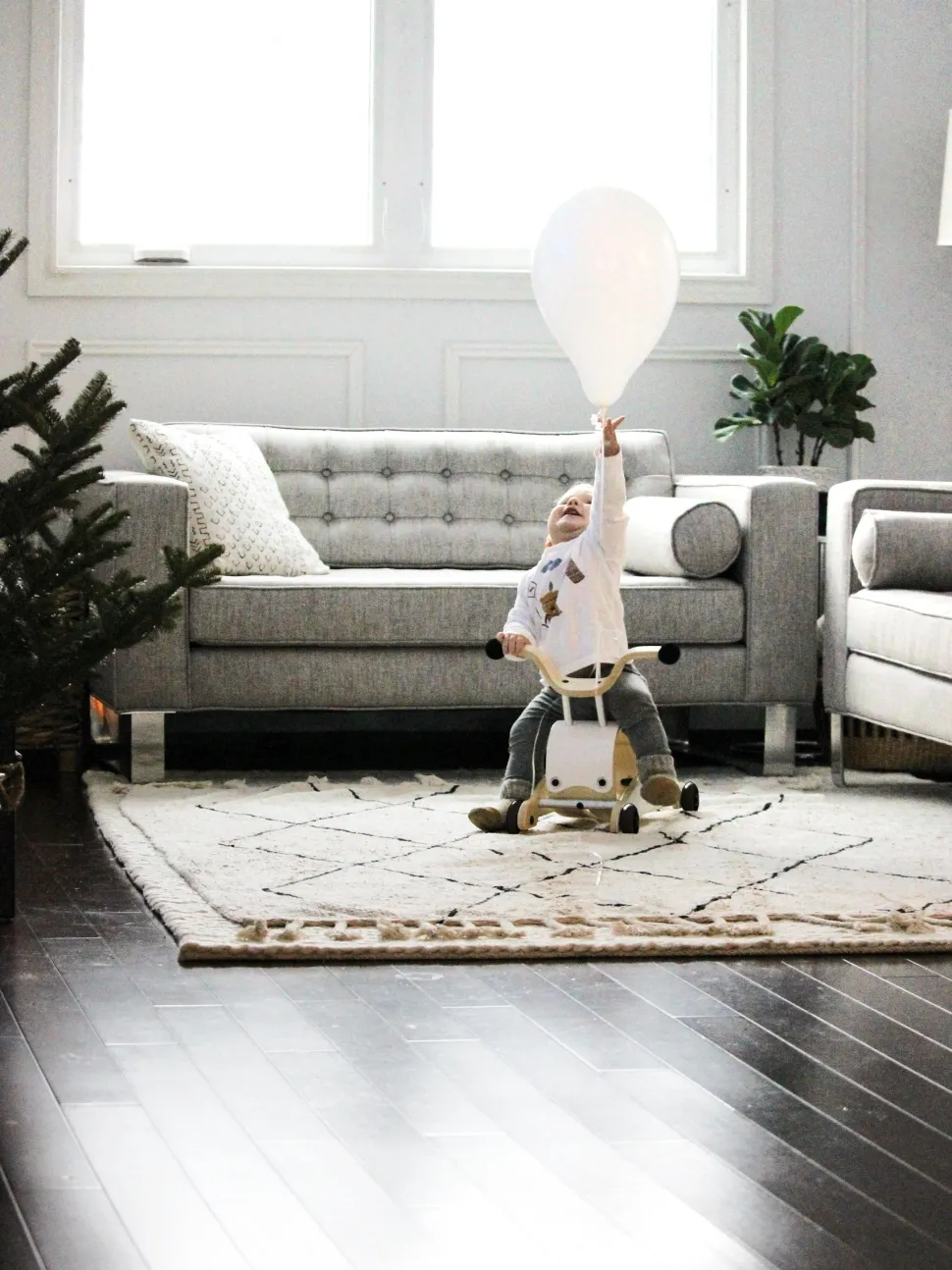 Wishbone Mini-Flip Walker